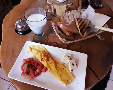 Bit بيت شباب
